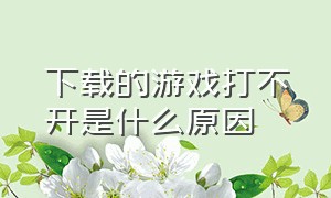 下载的游戏打不开是什么原因