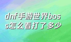 dnf手游世界boss怎么看打了多少