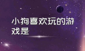 小狗喜欢玩的游戏是（狗狗喜欢玩的十种游戏）