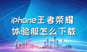 iphone王者荣耀体验服怎么下载