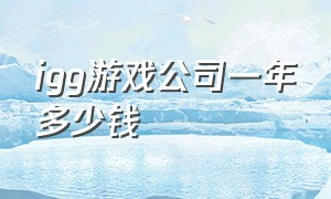 igg游戏公司一年多少钱