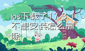 ios下载了17.3.1不想安装怎么删除