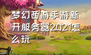 梦幻西游手游新开服务器2021怎么玩