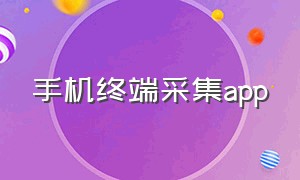 手机终端采集app