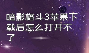 暗影格斗3苹果下载后怎么打开不了