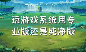 玩游戏系统用专业版还是纯净版