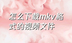 怎么下载mkv格式的视频文件