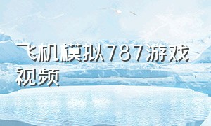 飞机模拟787游戏视频