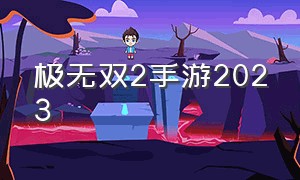 极无双2手游2023（极无双2手游2024礼包码）