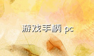 游戏手柄 pc