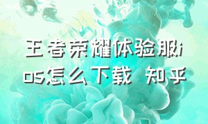 王者荣耀体验服ios怎么下载 知乎