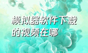 模拟器软件下载的视频在哪