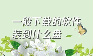 一般下载的软件装到什么盘