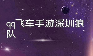 qq飞车手游深圳狼队