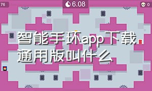 智能手环app下载通用版叫什么