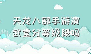 天龙八部手游演武堂分等级段吗（天龙八部手游变态版无限元宝）