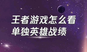 王者游戏怎么看单独英雄战绩