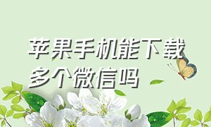 苹果手机能下载多个微信吗