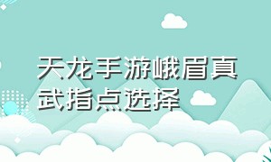 天龙手游峨眉真武指点选择