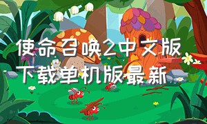 使命召唤2中文版下载单机版最新