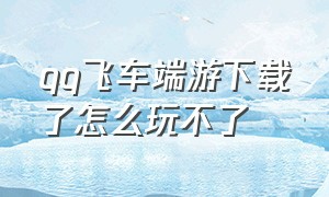 qq飞车端游下载了怎么玩不了（qq飞车端游为什么下载不了）