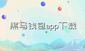 黑马钱包app下载（比特钱包app官方下载中文）