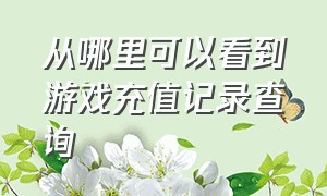 从哪里可以看到游戏充值记录查询（从哪里可以看到游戏充值记录查询明细）