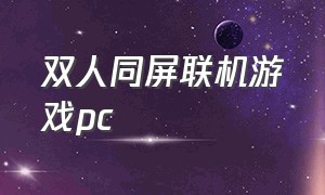 双人同屏联机游戏pc