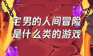 宅男的人间冒险是什么类的游戏