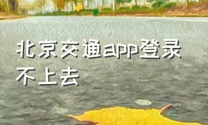 北京交通app登录不上去（北京交警app为啥登不上去）