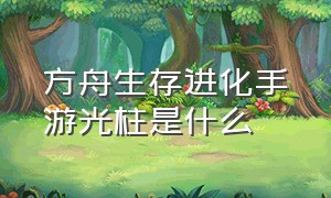 方舟生存进化手游光柱是什么