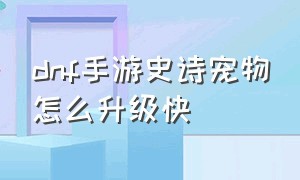 dnf手游史诗宠物怎么升级快（dnf手游史诗宠物进化等级保留吗）