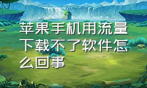 苹果手机用流量下载不了软件怎么回事