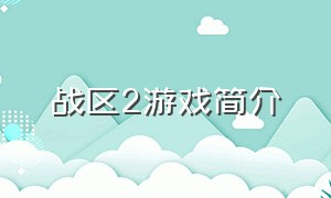 战区2游戏简介