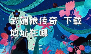 武媚娘传奇 下载地址在哪