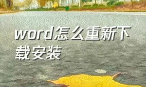 word怎么重新下载安装（word怎么重新下载安装不了）