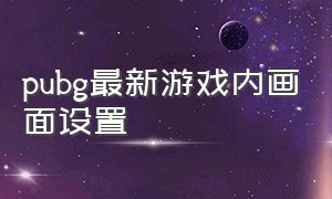 pubg最新游戏内画面设置