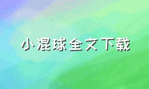 小混球全文下载