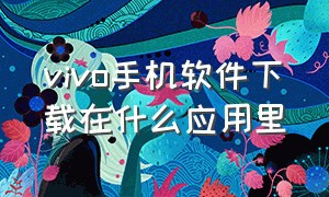 vivo手机软件下载在什么应用里