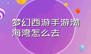 梦幻西游手游渤海湾怎么去（梦幻西游手游怎么登记藏宝阁）