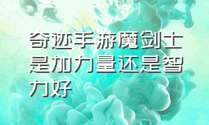 奇迹手游魔剑士是加力量还是智力好