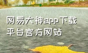 网易大神app下载平台官方网站