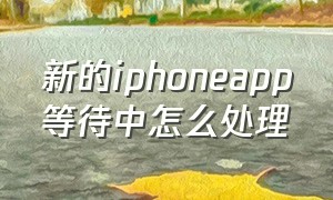 新的iphoneapp等待中怎么处理