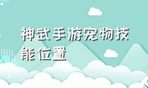 神武手游宠物技能位置（神武手游宠物技能搭配大全）