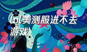 lol美测服进不去游戏