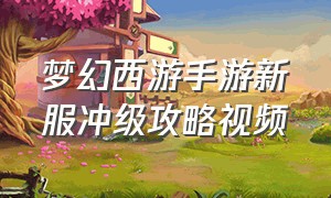 梦幻西游手游新服冲级攻略视频（梦幻西游手游新区冲级攻略2024）