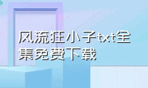 风流狂小子txt全集免费下载