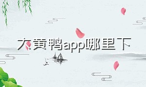 大黄鸭app哪里下（胖鸭app最新版）