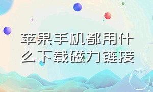 苹果手机都用什么下载磁力链接