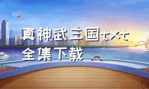 真神武三国txt全集下载